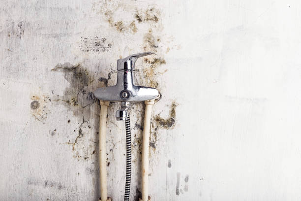 Best Mold Testing and Inspection Services in Baden, PA